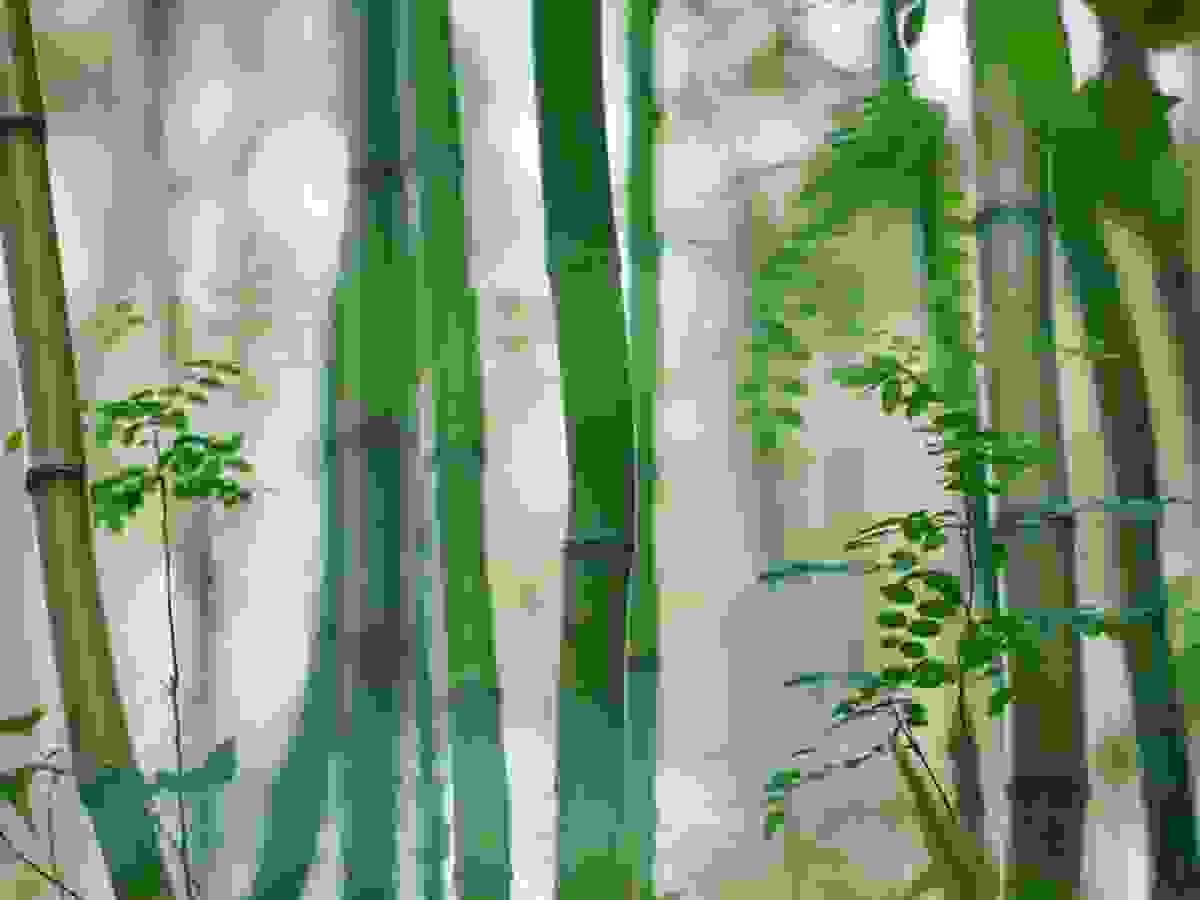 Section image