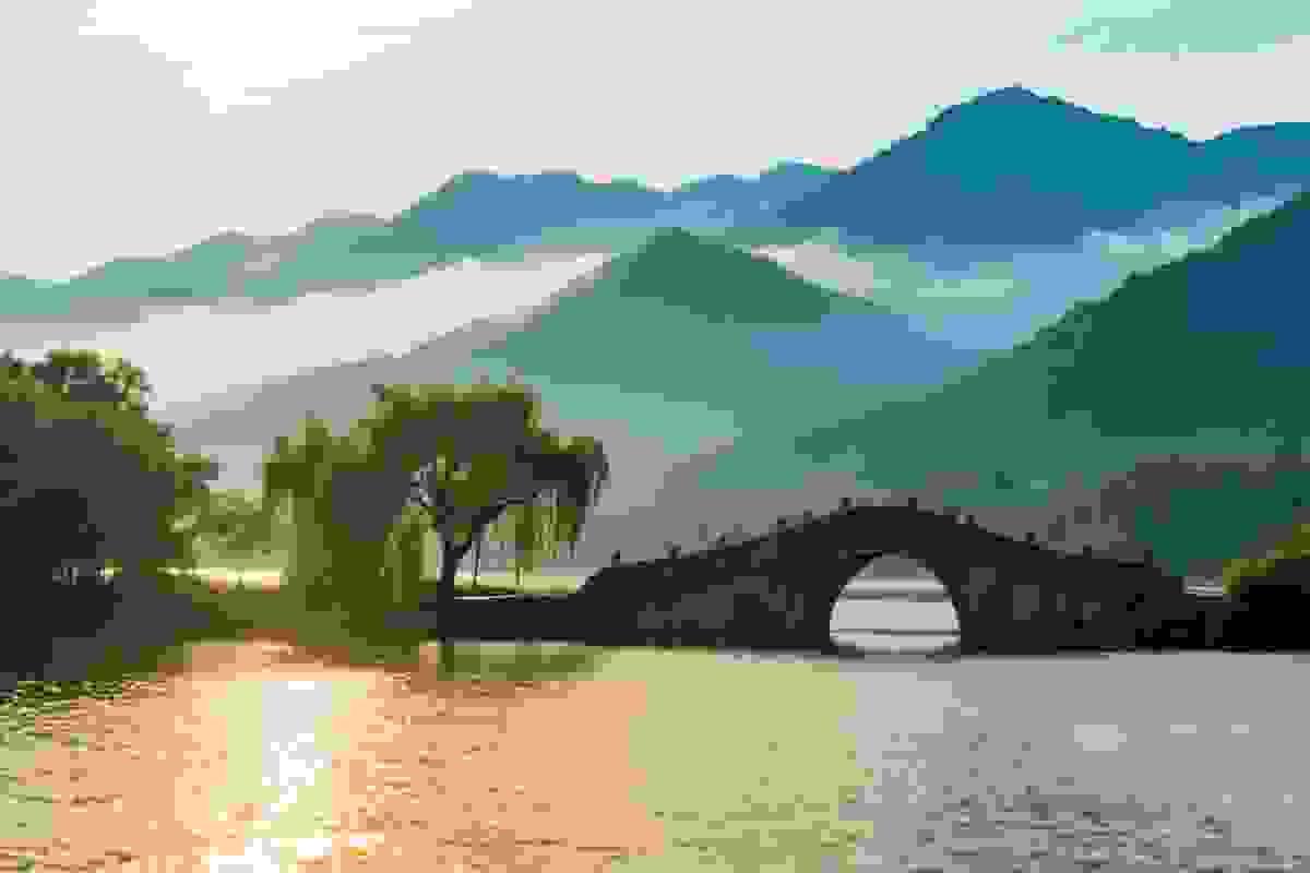 Section image
