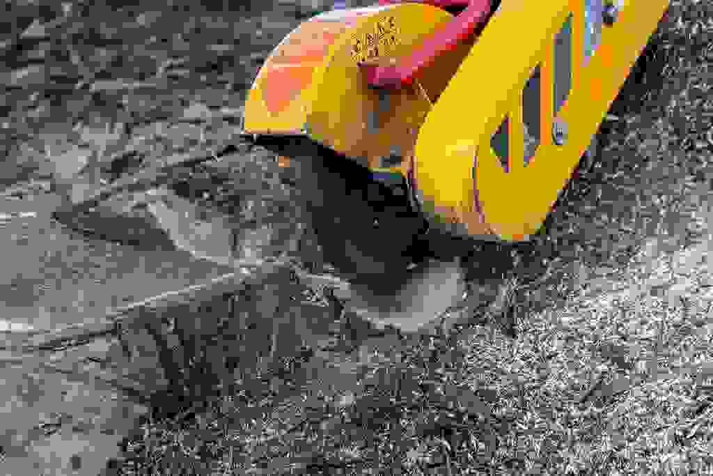 Section image