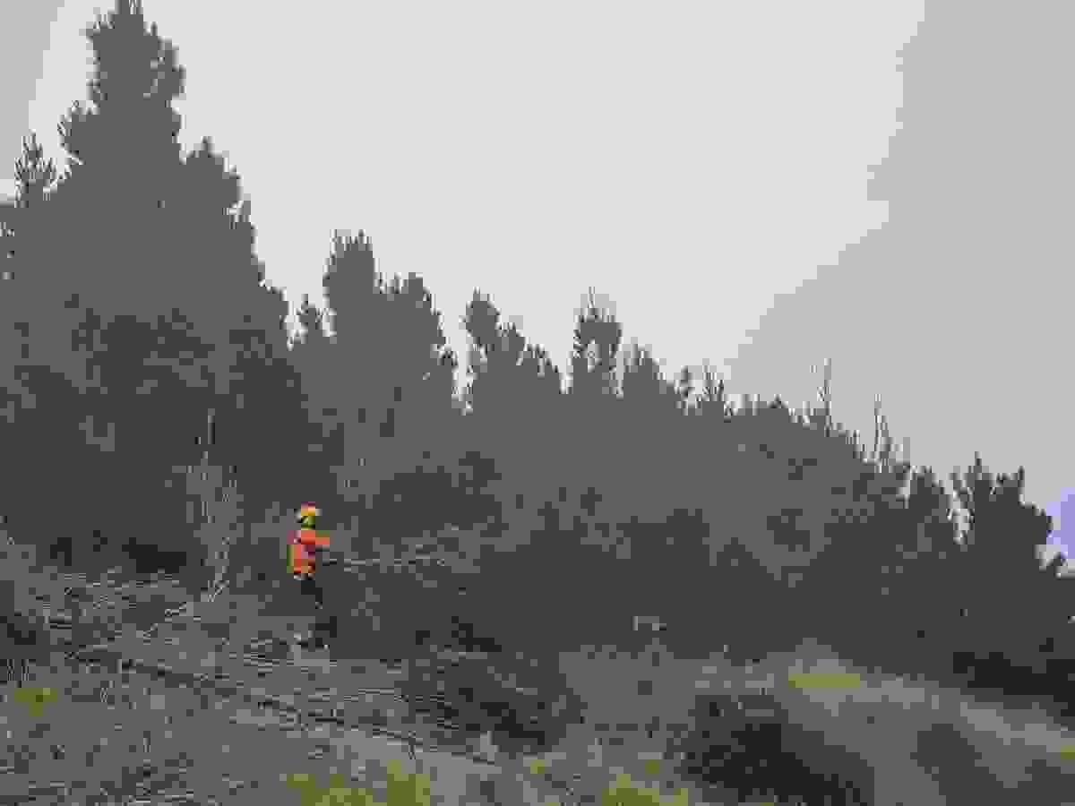Section image