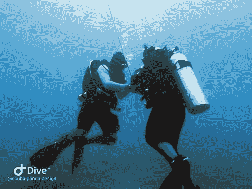 Instructeur (moi) accompagnant un élève à descendre avec un bout lors de la plongée 1 de l'Open Water. Nusa Penida. Instructeur (moi) accompagnant un élève à descendre avec un bout lors de la plongée 1 de l'Open Water. Nusa Penida.