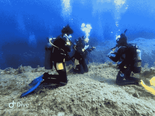 Instructeur (moi) et 2 élèves lors de la plongée 3 de l'Open Water. Nusa Penida Instructeur (moi) et 2 élèves lors de la plongée 3 de l'Open Water. Nusa Penida