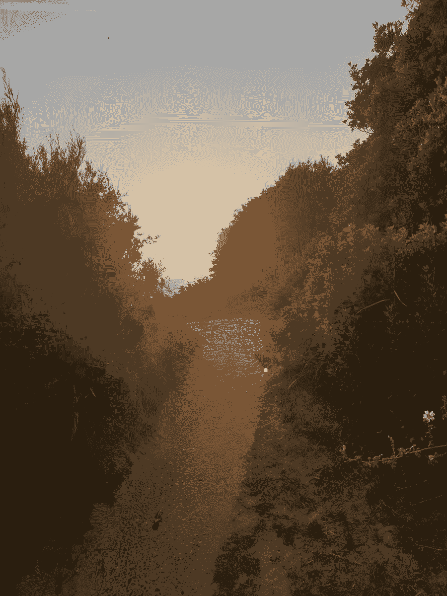 We offer tailored coaching, adapted to the specific needs of each woman, to promote a better understanding of her body. Personalized Coaching Our Commitment ONA Praxis is an expert support space, dedicated to women who wish to take control of their bodies - with awareness, precision, and respect. We offer intelligent sports and body coaching, respectful of female physiology, which develops awareness of movement, precision of movement, and long-term autonomy. We offer tailored coaching, adapted to the specific needs of each woman, to promote a better understanding of her body. Personalized Coaching Our Commitment ONA Praxis is an expert support space, dedicated to women who wish to take control of their bodies - with awareness, precision, and respect. We offer intelligent sports and body coaching, respectful of female physiology, which develops awareness of movement, precision of movement, and long-term autonomy.