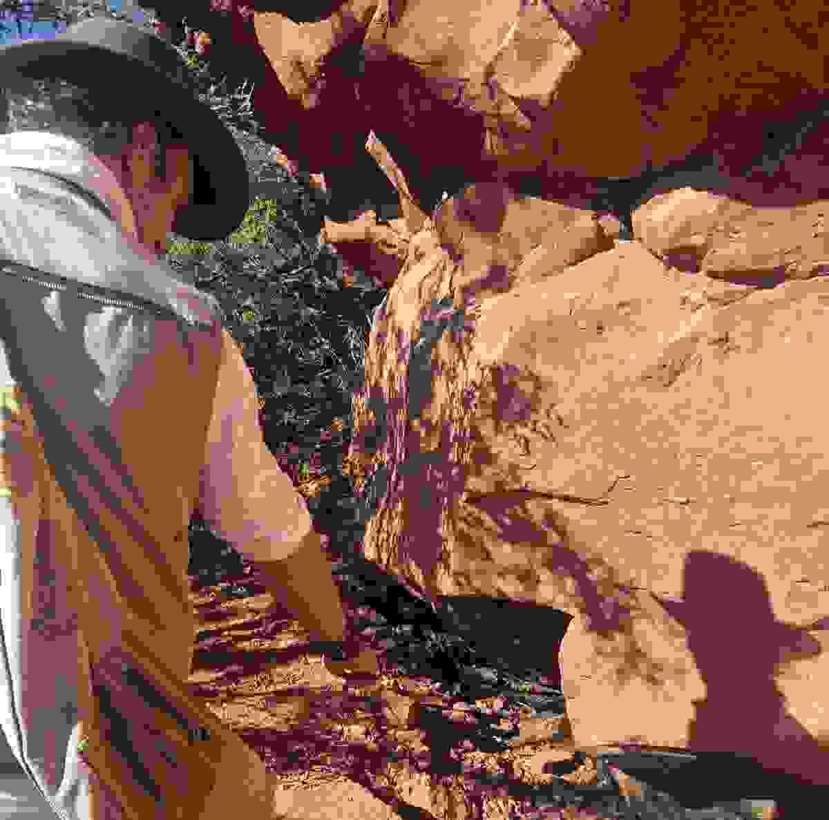 Section image