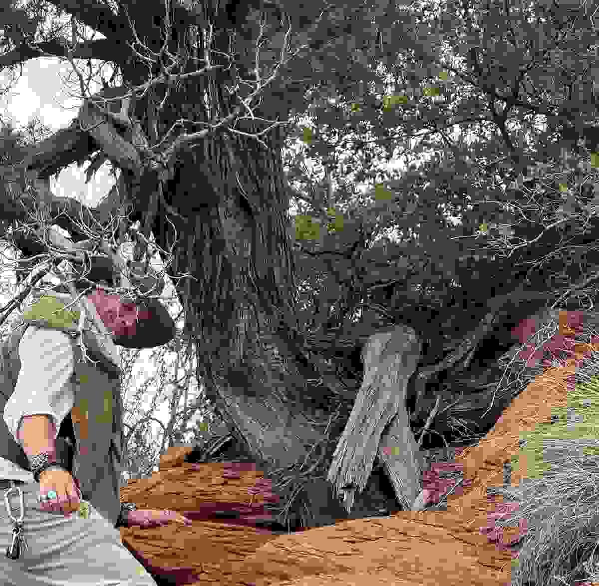 Section image