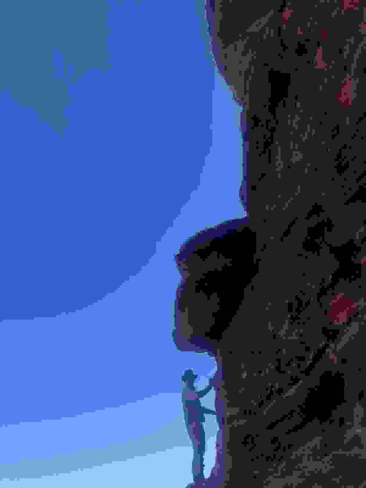 Section image
