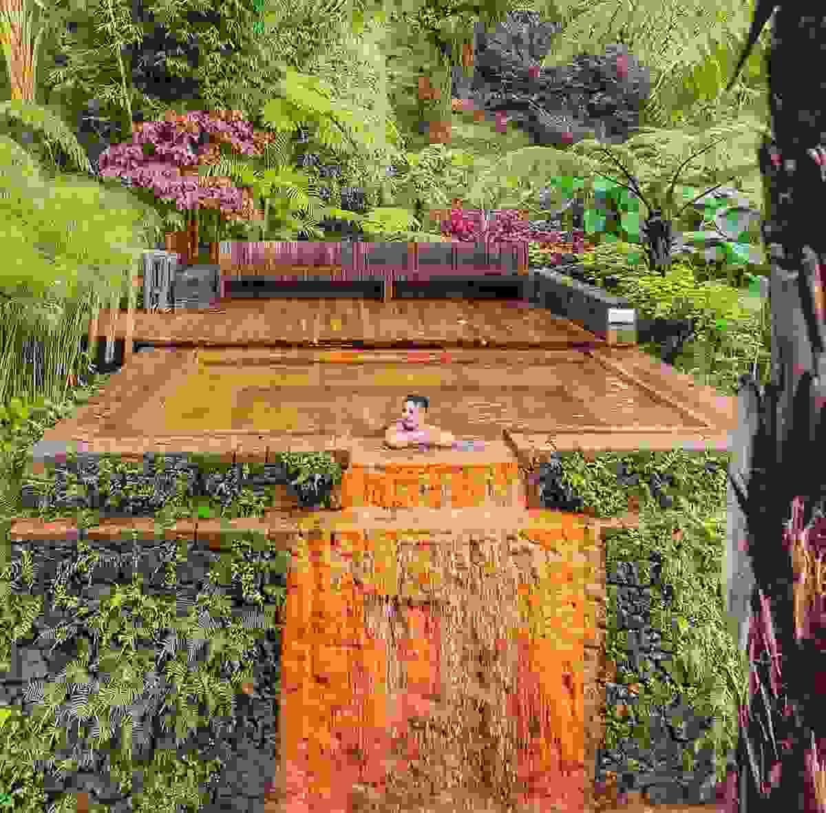 Section image