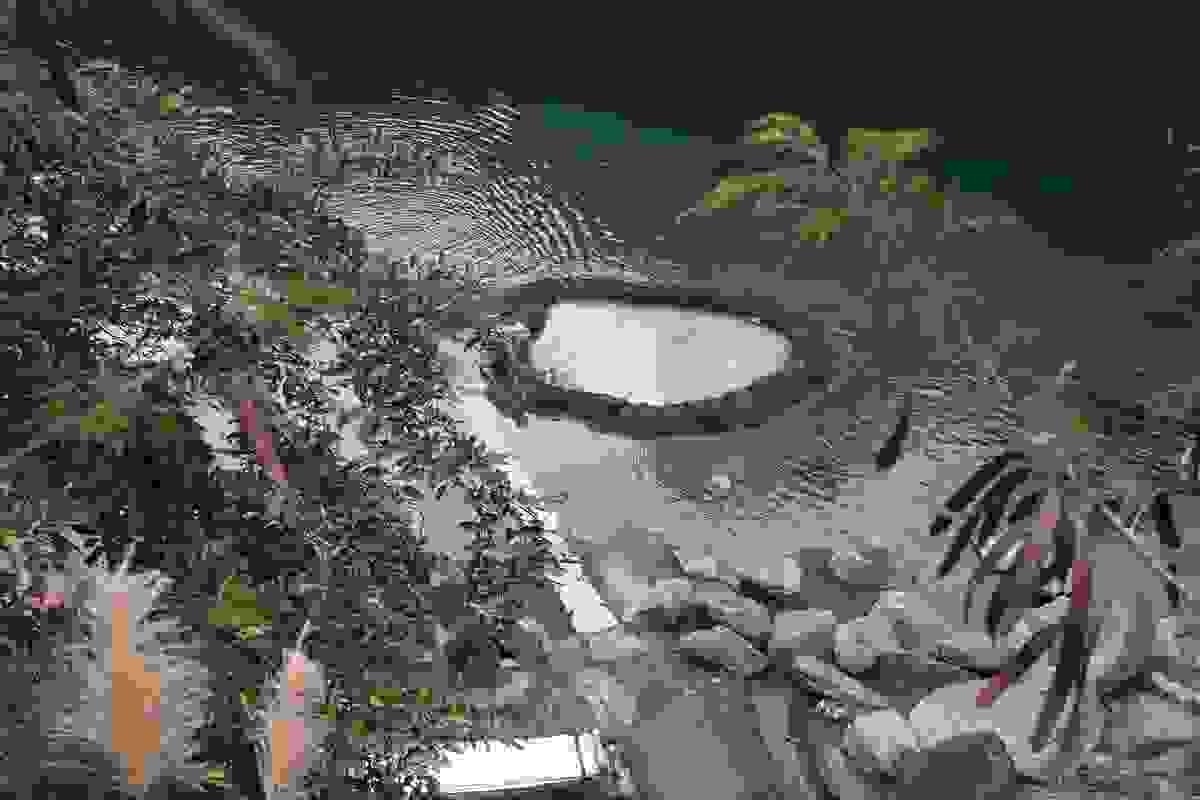 Section image