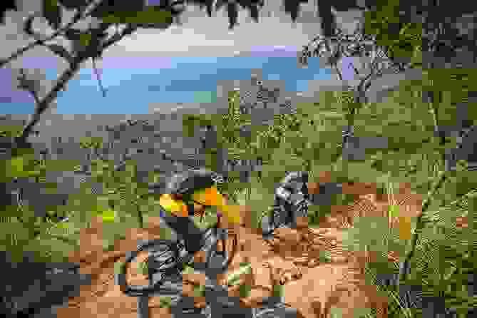 Section image