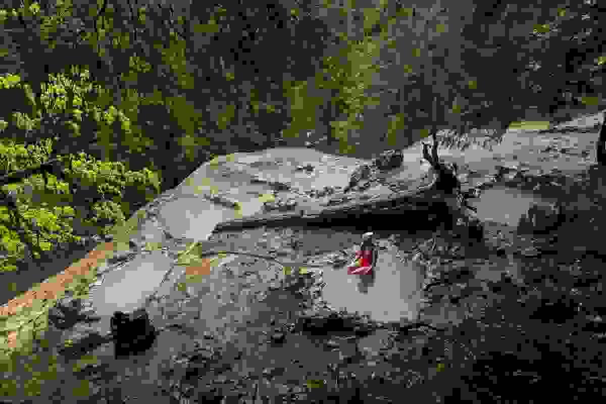 Section image