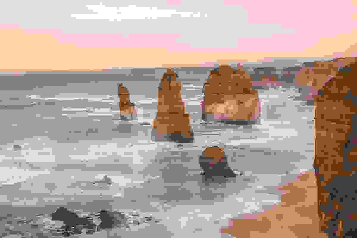 Section image