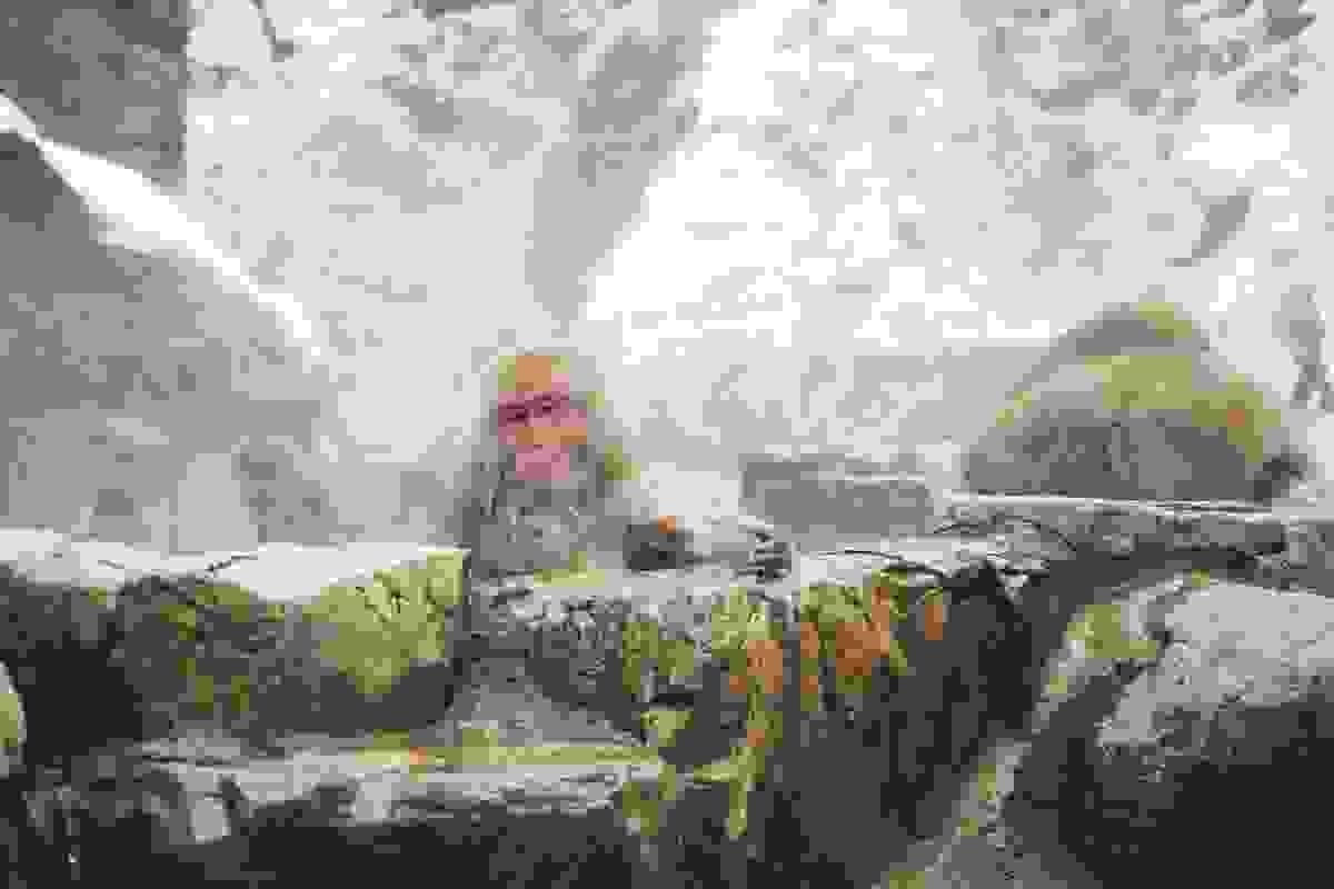 Section image