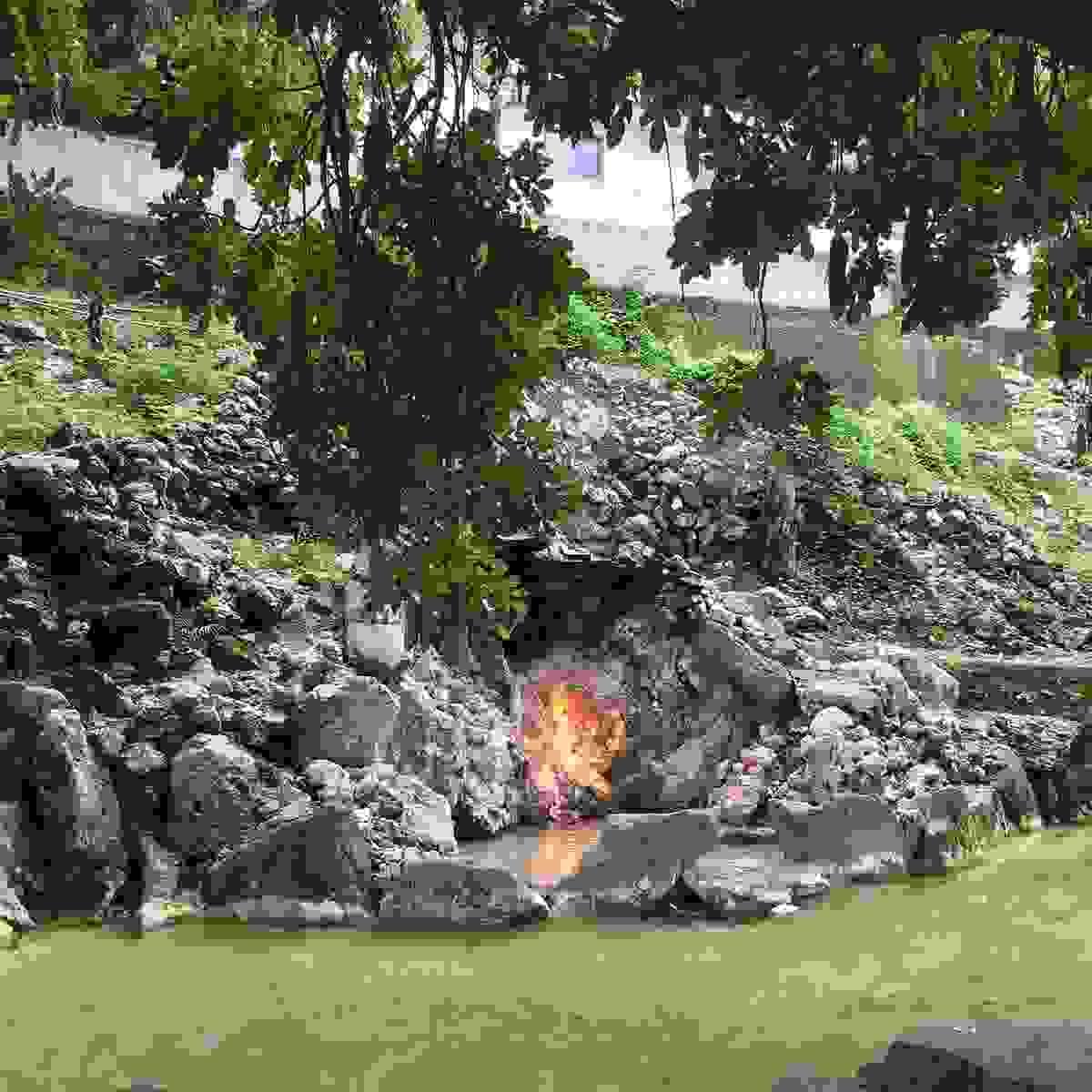 Section image