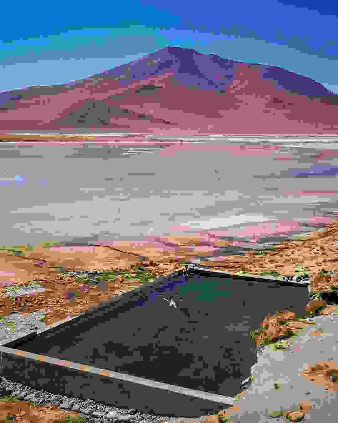 Section image