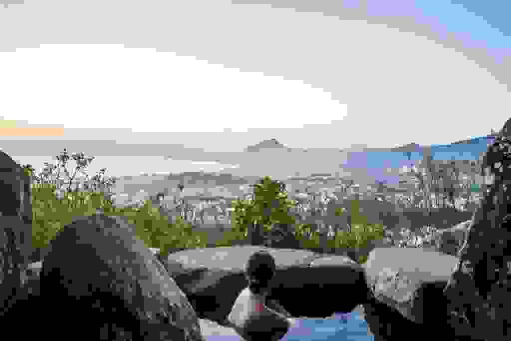 Section image