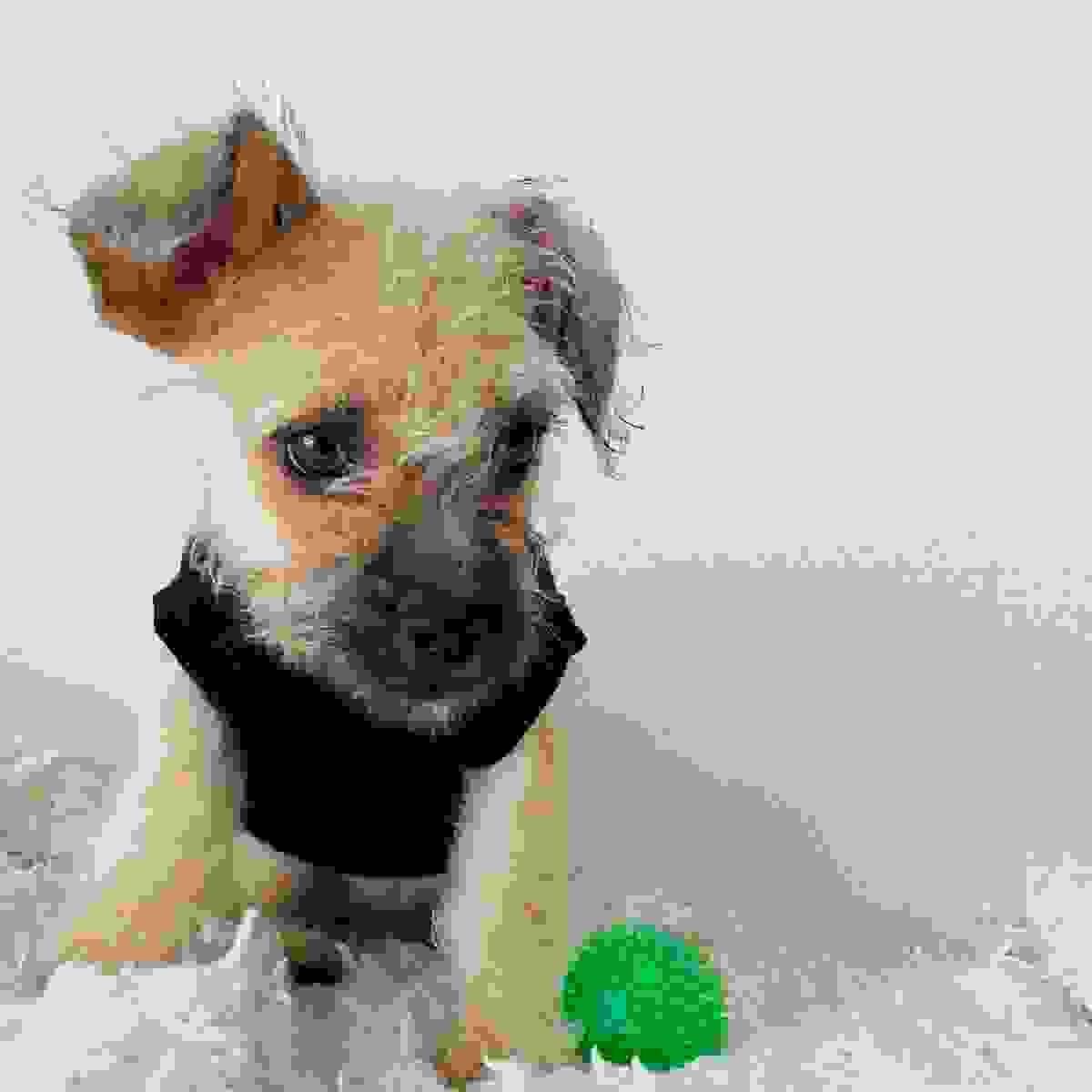 broken image