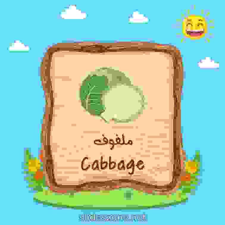 صورة تعليمية فلاش