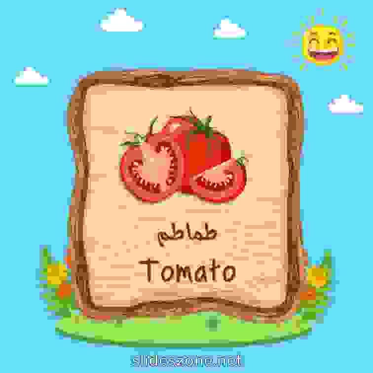 صورة تعليمية فلاش