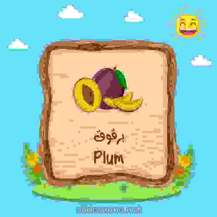 صورة تعليمية فلاش