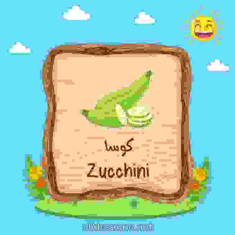 صورة تعليمية فلاش