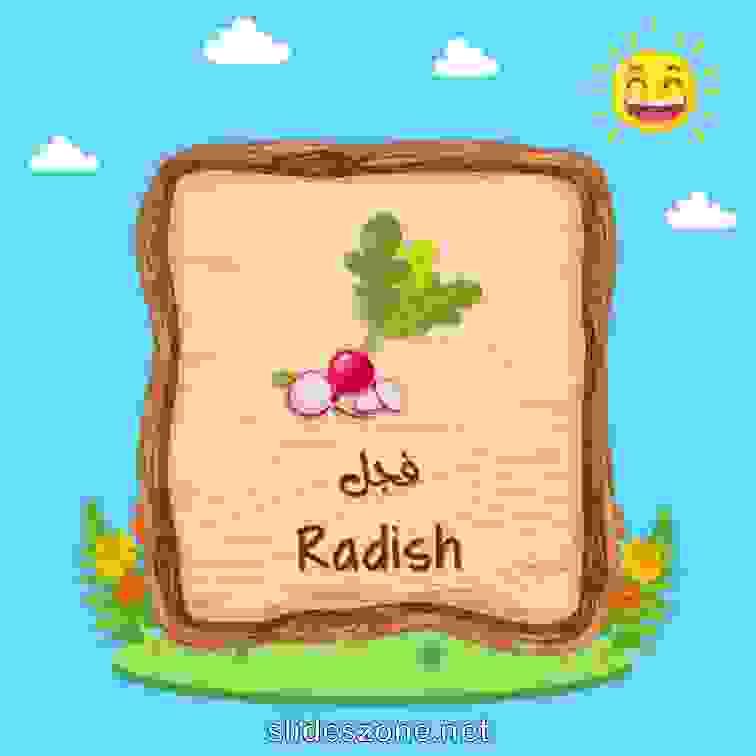 صورة تعليمية فلاش