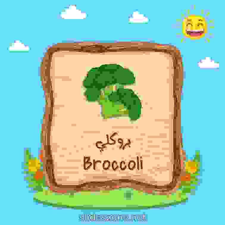 صورة تعليمية فلاش