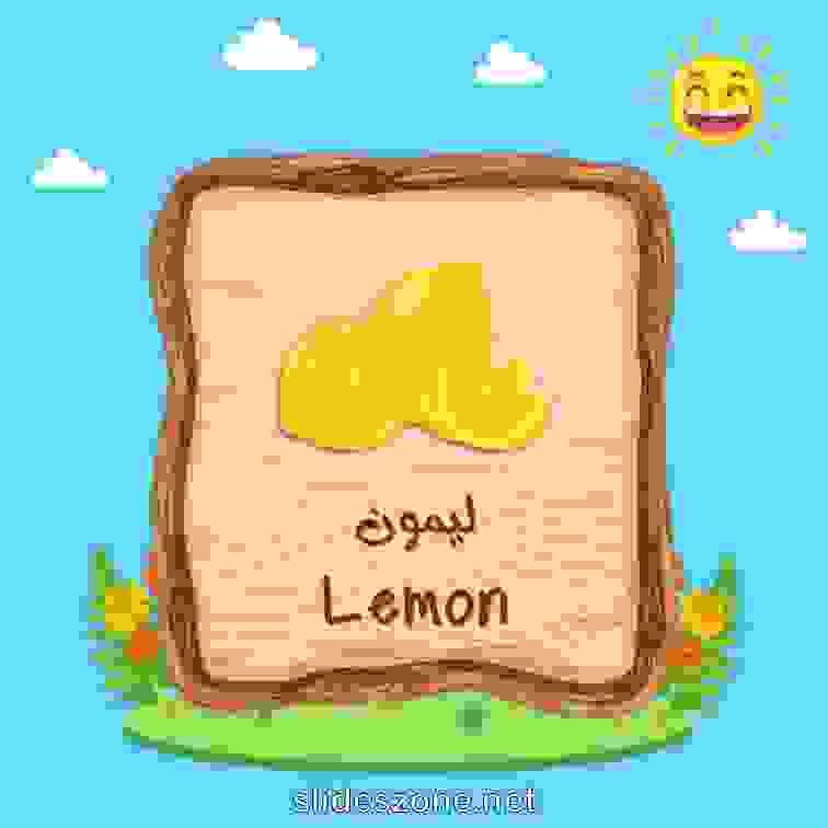 صورة تعليمية فلاش