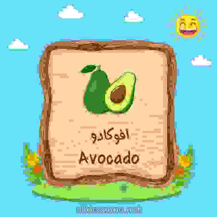 صورة تعليمية فلاش