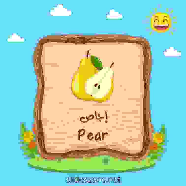 صورة تعليمية فلاش