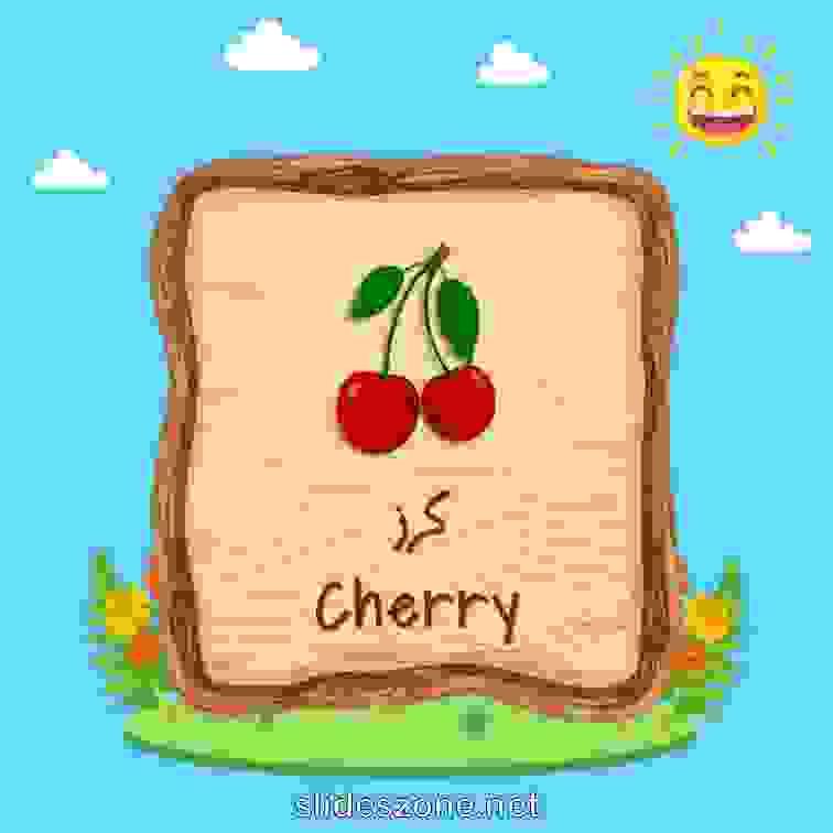 صورة تعليمية فلاش