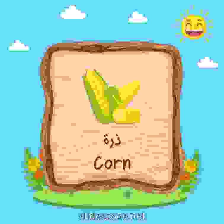 صورة تعليمية فلاش