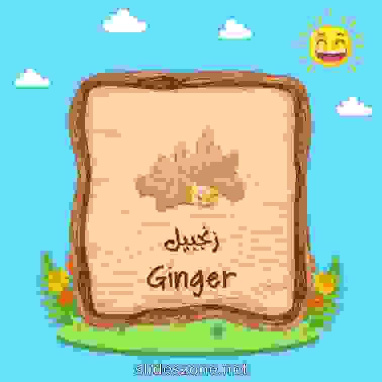 صورة تعليمية فلاش
