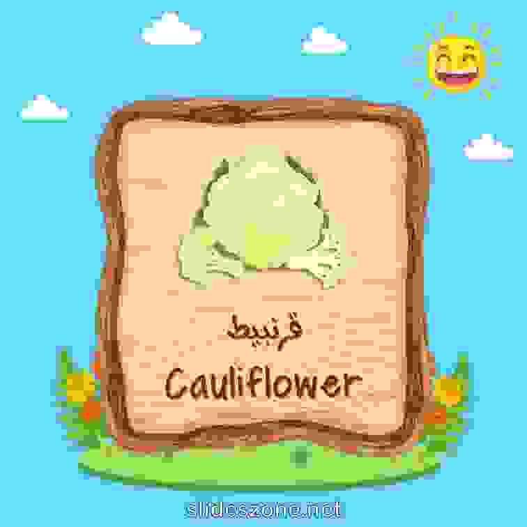 صورة تعليمية فلاش