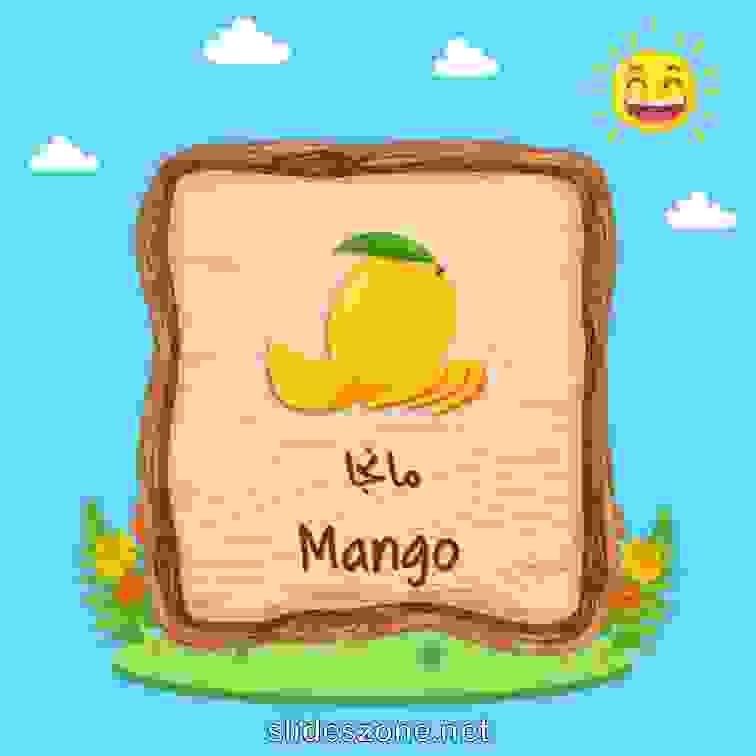 صورة تعليمية فلاش