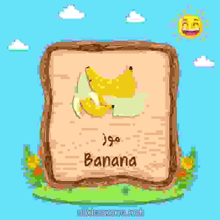 صورة تعليمية فلاش