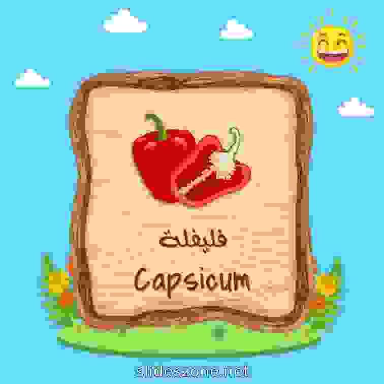 صورة تعليمية فلاش