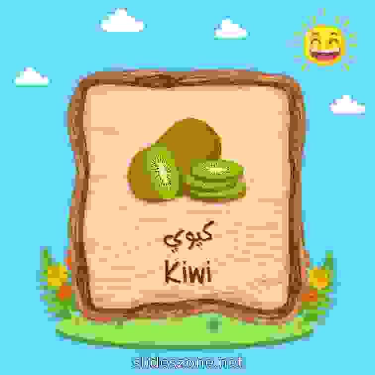 صورة تعليمية فلاش