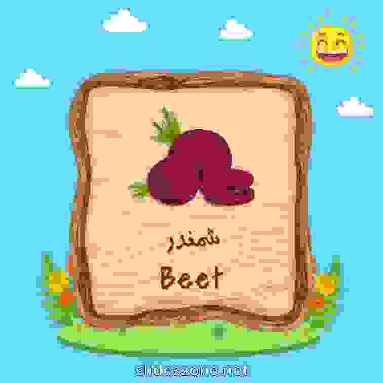 صورة تعليمية فلاش