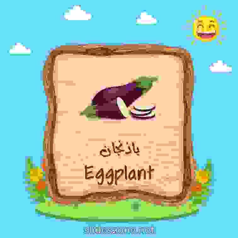 صورة تعليمية فلاش