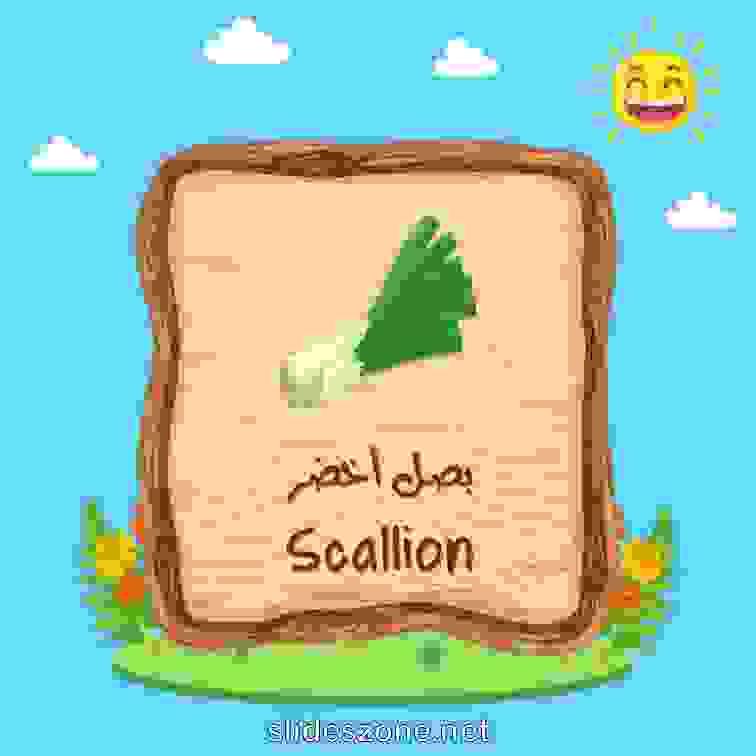 صورة تعليمية فلاش