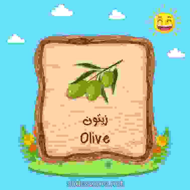 صورة تعليمية فلاش