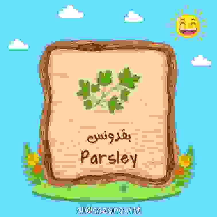 صورة تعليمية فلاش
