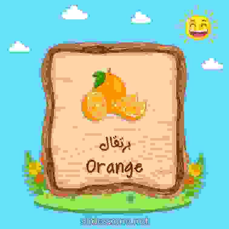 صورة تعليمية فلاش
