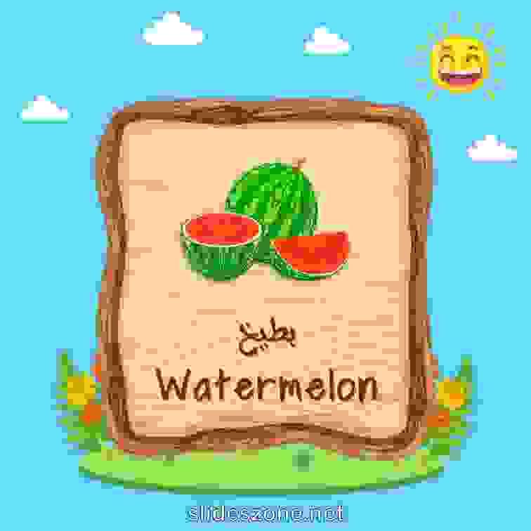 صورة تعليمية فلاش