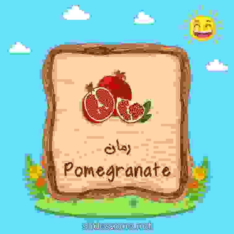 صورة تعليمية فلاش