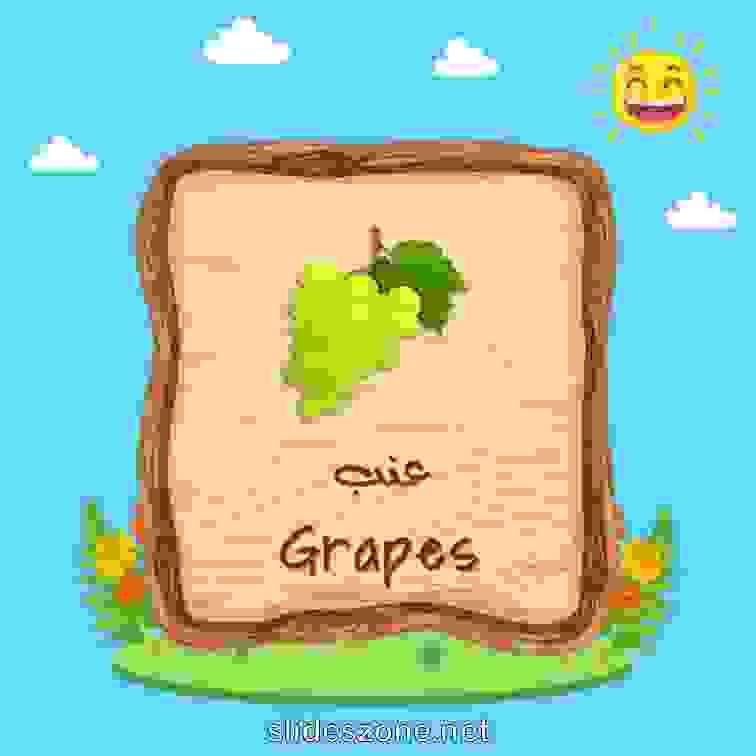 صورة تعليمية فلاش