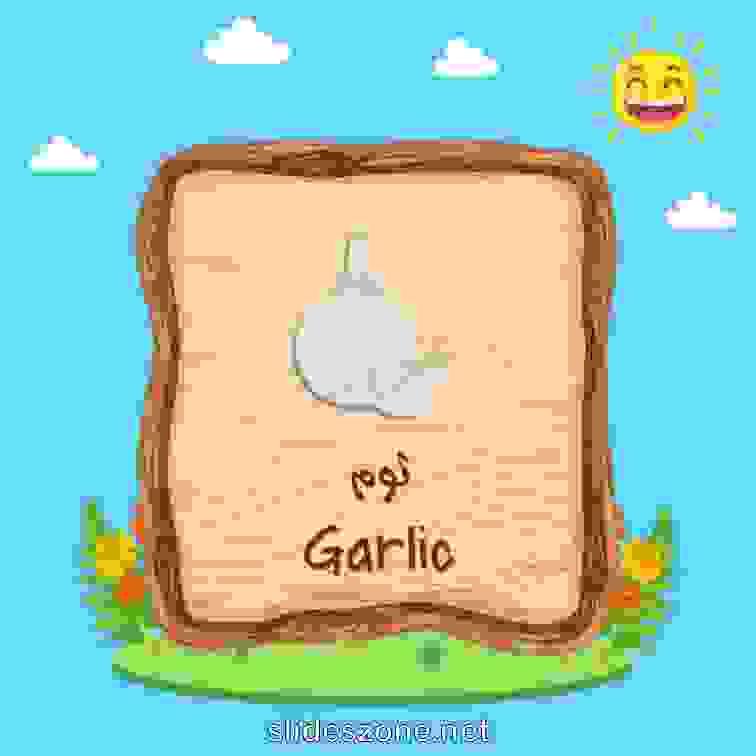 صورة تعليمية فلاش