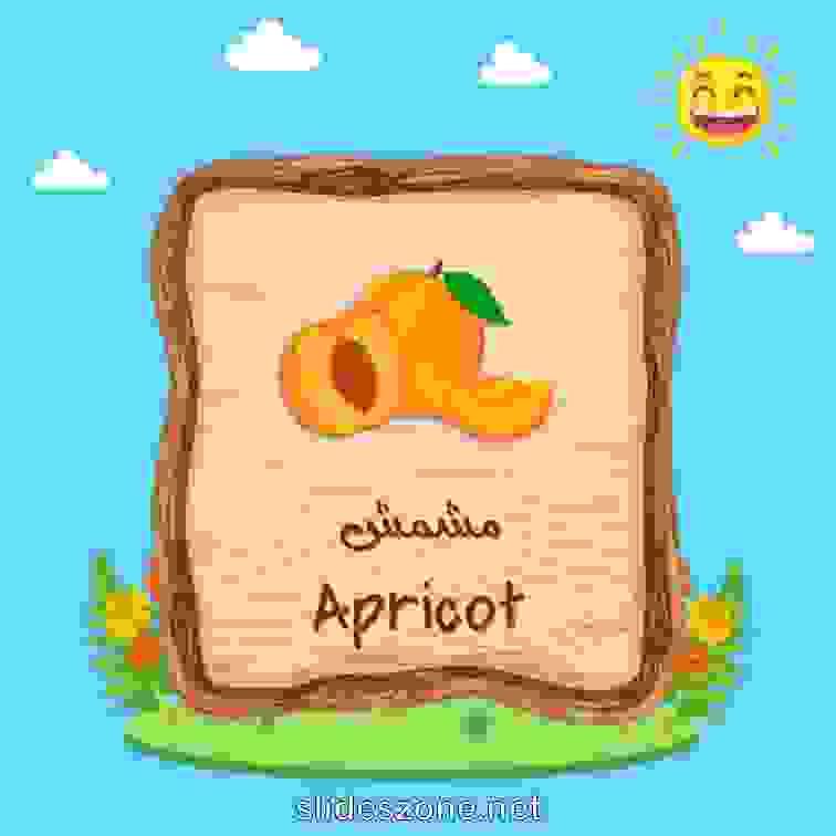 صورة تعليمية فلاش