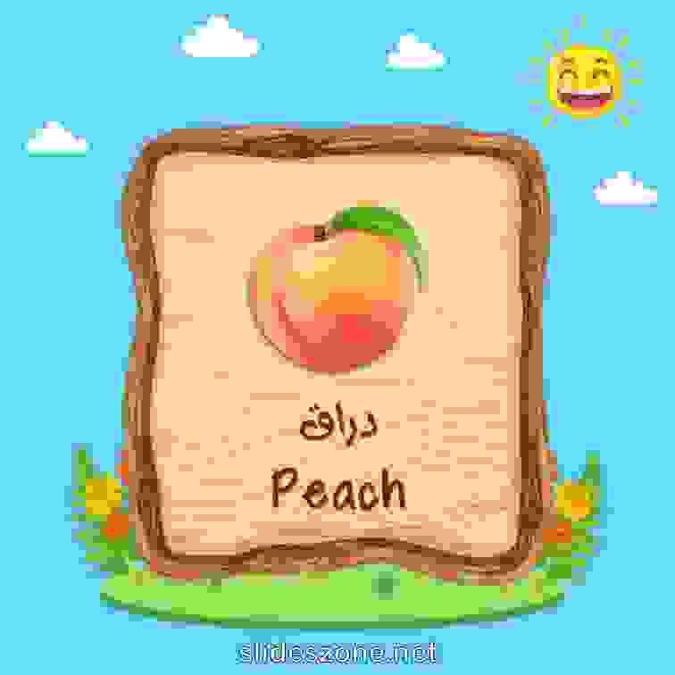 صورة تعليمية فلاش