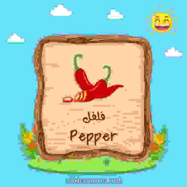 صورة تعليمية فلاش
